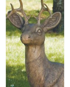43" Standing Deer