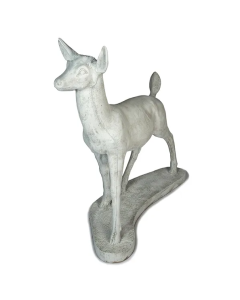 Large Doe