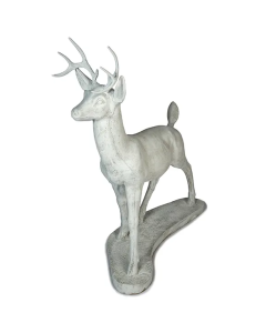 Large Buck