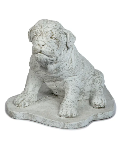 Pug Dog