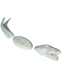 Three Piece Alligator