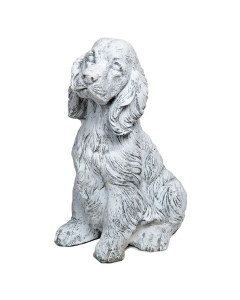 Small Cocker Spaniel N