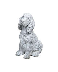 Small Cocker Spaniel