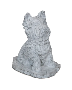 Highland Terrier