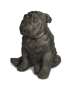 Bull Dog