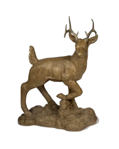 Buck on Rocks