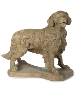 Dog Standing