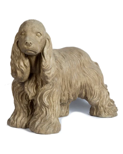 Cocker Spaniel