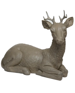 Laying Buck