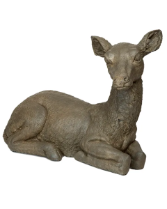 Laying Doe
