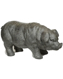 Pig