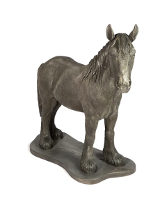 Clydesdale