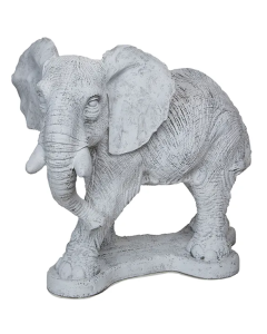 Elephant 2