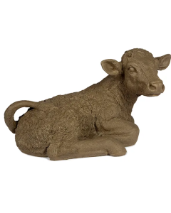 Laying Calf