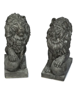 Lion Right Paw On Ball
