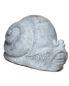 Snail, Large, Long Neck N