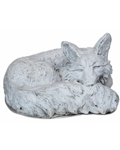 Curled Fox