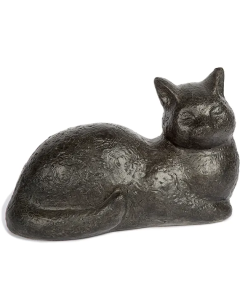 Kate the Cat