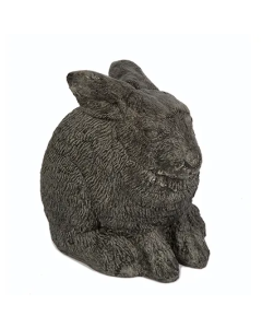 Dropped Ear Bunny