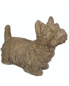 Scottish Terrier