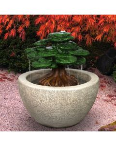Bonsai Fountain