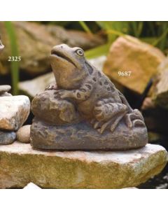 5" Pond Frog On Rock