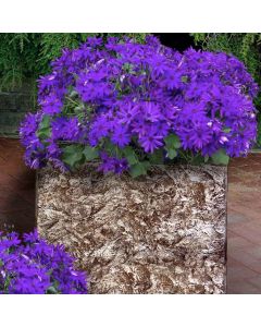 Medium Monolith Slate Planter