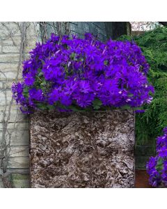 Lrg Monolith Slate Planter