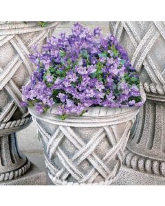 Small Tudor Weave Ped Pltr