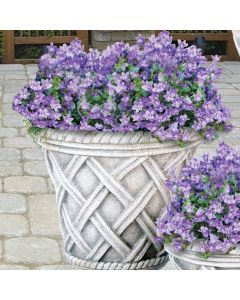 Med. Tudor Weave Ped Planter