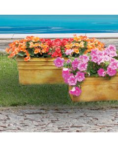 Large Planter Box