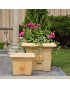 Medium Shell Planter