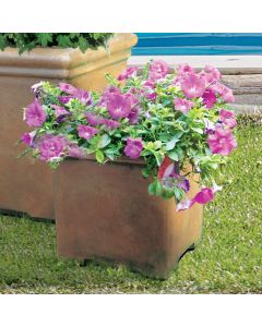 Medium Square Planter