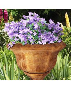 Kensington Planter