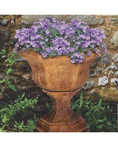 Kensington Planter Large