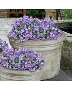 Large Rolled Rim Planter