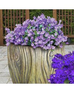 Medium Banyan Planter