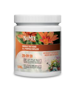 Balanced Fertilizer 20-20-20