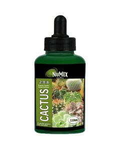 Cactus Fertilizer 2-8-8 110ml
