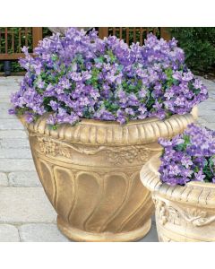 Small Cabernet Vase