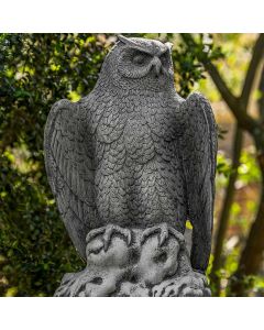 August Owl