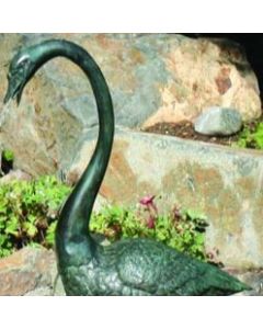 Long Neck Goose