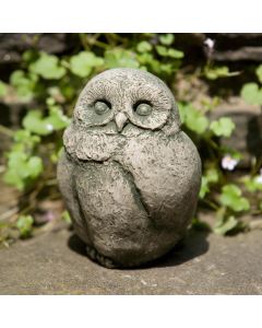 Baby Barn Owl