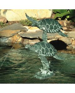 Sea Turtle