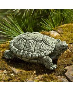 My Pet Turtle