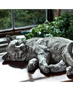 Dreaming Kitty