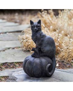 Cat on Pumpkin