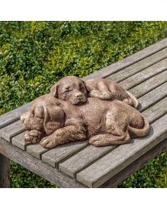Nap Time Puppies