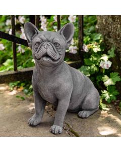 Frenchie