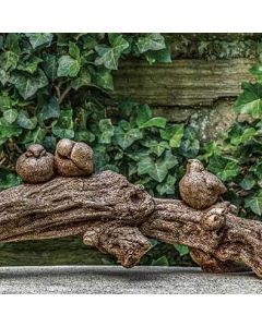Birds on a Branch